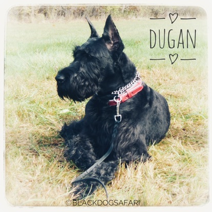 motuCVTiTj+dhrZTAWWv%A_mini_37ce